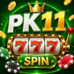 PK11 Game